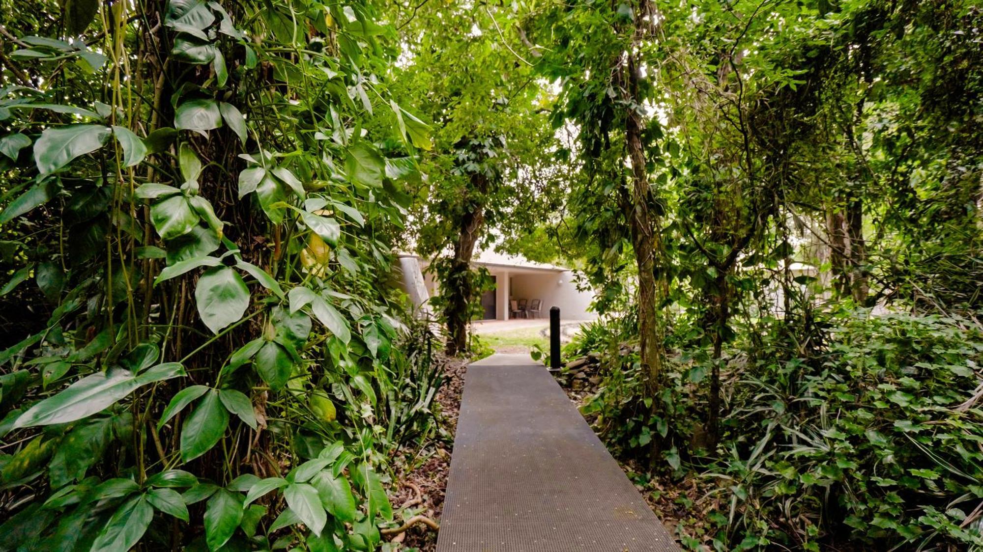 Invercauld House Goonellabah Экстерьер фото